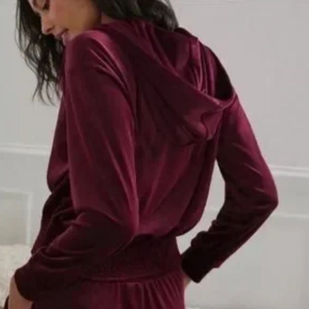 ANTHROPOLOGIE Cropped Velvet Hoodie Smocked Waist Sweater Top Size M NWT